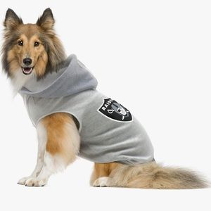 NFL Raiders doggy sweater!